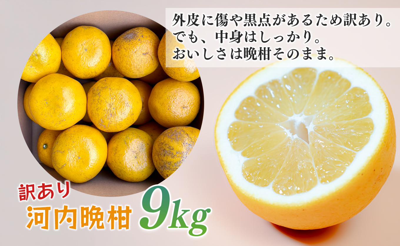 【訳あり】 河内晩柑 9kg （M～5L） 大容量 ばんかん 晩柑 バンカン 夏文旦 家庭用 みかん 蜜柑 柑橘 フルーツ 果物 サイズミックス 初夏 夏 ジュース お酒 お取り寄せ ビタミン 高知県