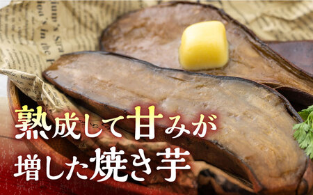 【全2回定期便】孝行芋 焼き芋 12袋  対馬 やきいも 常温 保存食 濃密 甘い おやつ [WAI110]