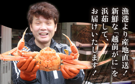 越前がに本場の越前町からお届け！ 越前がに 浜茹で 小サイズ（生で400～600g） × 1杯【かに カニ 蟹】【福井県 越前町 雄 ズワイガニ ボイル 冷蔵 越前ガニ 越前かに 越前カニ ずわいがに