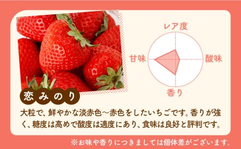 【先行予約】食べ比べ！恋みのり＆さがほのか 各220g 詰め合わせ セット【鐘ヶ江農園】いちご [IBH007]