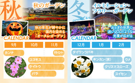 フローランテ宮崎年間パスポート（大人） 自然 花 祭 祭典 イルミネーション フラワーガーデン イベント チケット 引換券 入園券 フローランテ宮崎 高校生以上