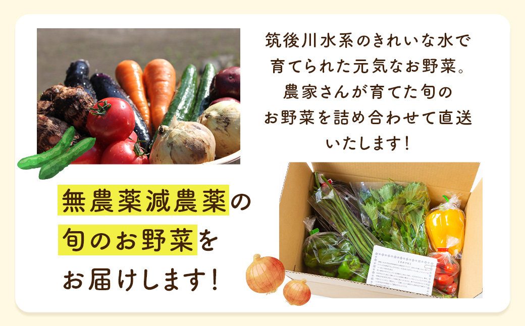 【季節定期便】UIC 名水うきはの無農薬減農薬お野菜セット (季節ごとに1箱×4回=年4回)