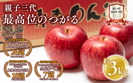 りんご つがる 約3kg 青森県平川市産[hi-0003-030]