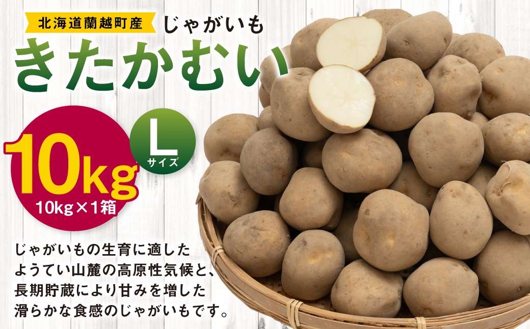 
                  じゃがいも （ きたかむい ） Lサイズ 約10kg × 1箱 約10kg （ JA ） ジャガイモ ポテト いも イモ 芋 野菜 やさい 煮物 なめらか食感 長期貯蔵 国産 北海道産 【 2027年1月上旬～2月下旬迄発送予定 】
                