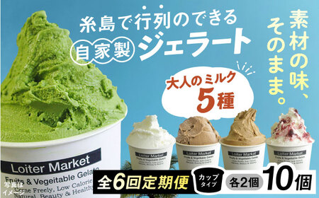 【全6回定期便】 ジェラート 大人味 5種 10個 アイス ジェラートセット [AGD021]