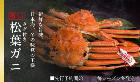 タグ付き蒸し松葉ガニ 大1枚 800～940g前後 ズワイガニ かに 鳥取 TM6 0716