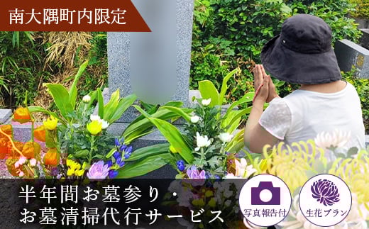 
            【半年間・生花】お墓参り代行｜お墓参り 墓 代行 供花 掃除 献花 生花 シルバー（K72203）
          
