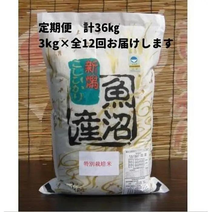 【令和７年】12か月定期便　がんこおやじが作った南魚沼産コシヒカリ白米３kg | 白米