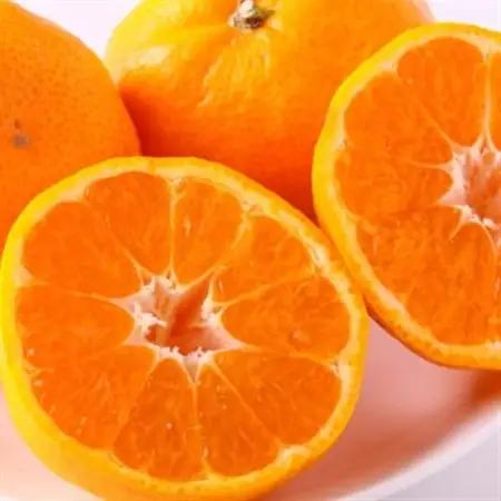 【訳あり・ご家庭用】和歌山由良町産のみかん約10kg(日高町)【1228288】