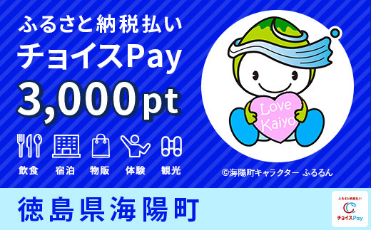
            海陽町チョイスPay 3,000pt（1pt＝1円）【会員限定のお礼の品】
          