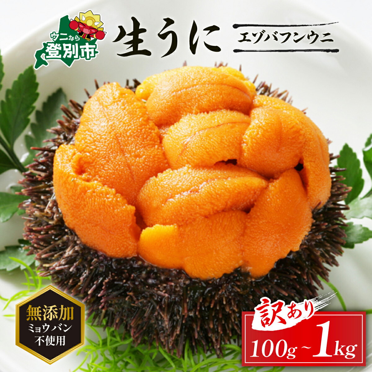 【ふるさと納税】うに ミョウバン不使用 北海道 生うに 塩水パック エゾバフンウニ 雲丹 100g 〜 1kg 《アフター保証付き》 | ふるさと納税 うに ウニ 小分け 大容量 北海道 登別市 訳あり 無添加 規格外 ふるさと ランキング 送料無料 ギフト