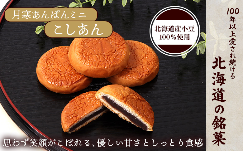月寒あんぱん　ミニ8個入り×2袋 | 月寒あんぱん本舗 月寒あんぱん あんぱん あんこ こしあん ほんま オリジナル 北海道 ふるさと納税 恵庭市 恵庭 お取り寄せ スイーツ 和菓子【170053】