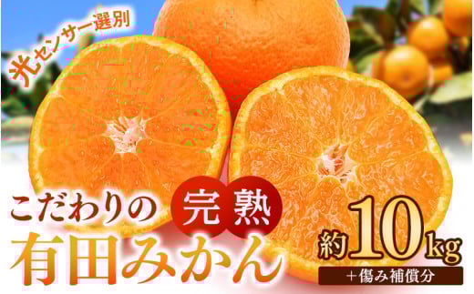 早期先行予約！  こだわりの有田みかん 約10kg＋250g(傷み補償分) 【ご家庭用】【12月発送】 光センサー選別品 農家直送品 ※北海道・沖縄・離島配送不可 / みかん 有田みかん 温州みかん 柑橘 果物 くだもの フルーツ 有田 和歌山 和歌山県産 産地直送 【nuk101-12】 