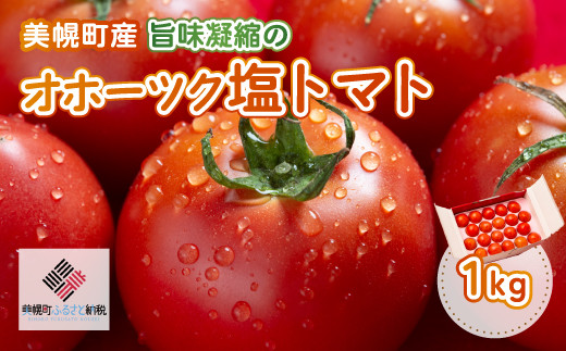 【先行予約】美幌町産・旨味凝縮のオホーツク塩トマト 約1kg（2026年7月下旬より順次発送） ふるさと納税 人気 おすすめ ランキング トマト 塩トマト 野菜 新鮮 リコピン 健康 ヘルシー 北海道 美幌町 送料無料 BHRG006