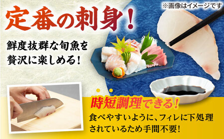 【五島列島産】高級朝獲れ鮮魚 約2.5kg（真空パック/下処理済） 五島市/マルセイ水産[PBT002]鮮魚