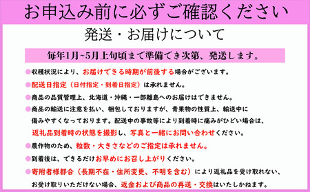 先行予約 いちご とちおとめ 約250g×8パック 計2㎏ 小玉 いちご