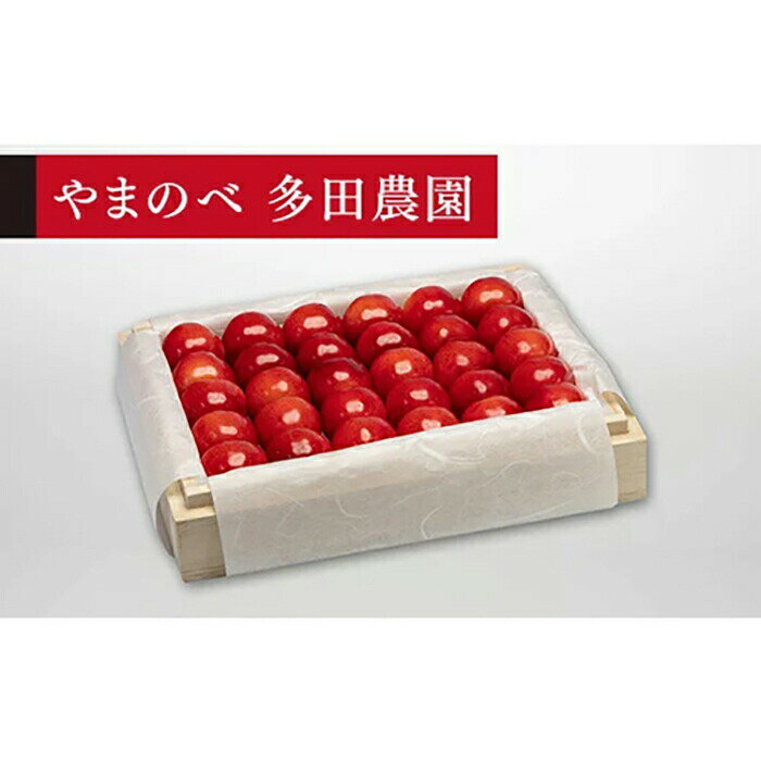 【ふるさと納税】《2026年先行予約》【特選紅秀峰】桐箱詰 約300g【やまのべ多田耕太郎のさくらんぼ 多田農園】期間限定 数量限定 山形県産 サクランボ フルーツ 果物 くだもの 贈答 F4A-0031