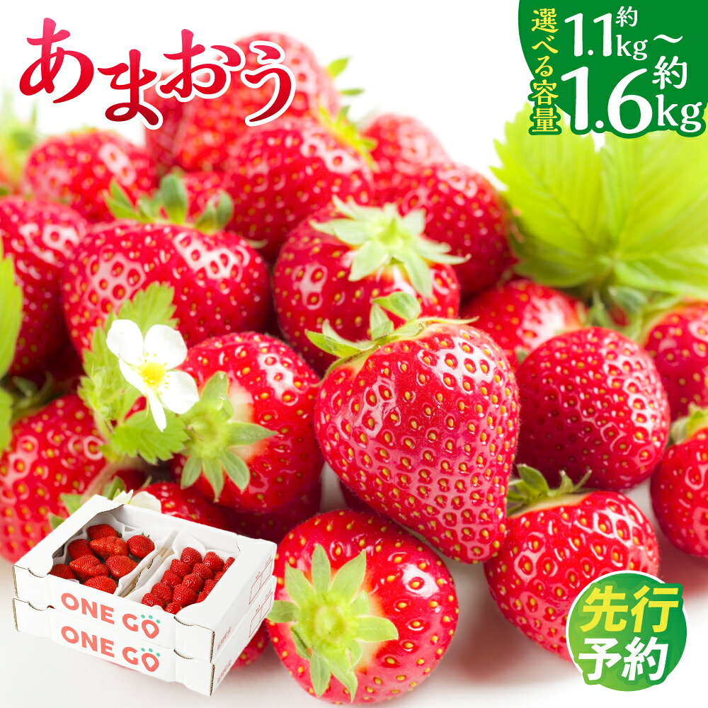 【ふるさと納税】【数量限定】 あまおう 〈選べる〉4パック or 6パック 約1120g or 約1680g 1パック約280g 苺 いちご イチゴ ストロベリー 果物 フルーツ おやつ デザート 冷蔵 福岡県産 国産 送料無料【2027年1月上旬-3月下旬発送予定】