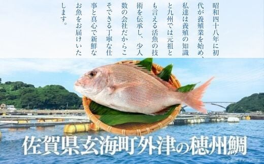 画像はイメージです。