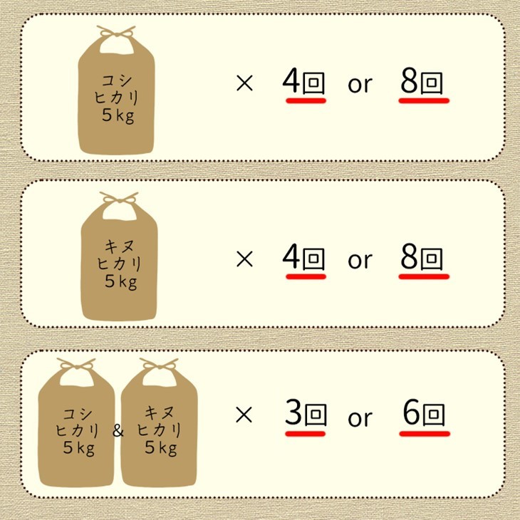 【9月より新米】【定期便】米 京都丹波米 10kg(こしひかり5kg・きぬひかり5kg)×3回 計30kg◇◆◇ 3ヶ月 白米 3回定期便 コシヒカリ・キヌヒカリ 各5kg 米 精米したてをお届け