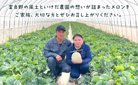 富良野メロン 赤肉 フルーツ 富良野メロン【2玉 約4kg以上】先行予約