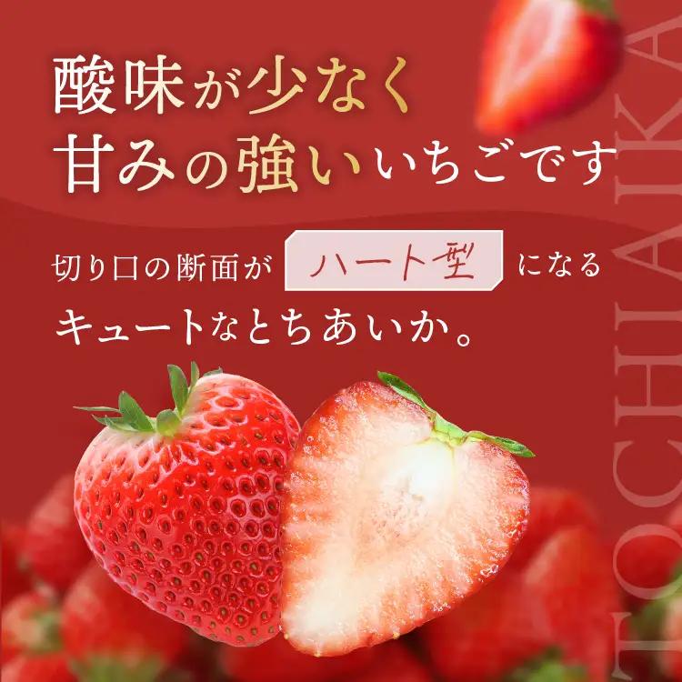 【2027年1～3月発送】【先行予約】 栃木のこでらんないイチゴ（とちあいか） 約300g×2
