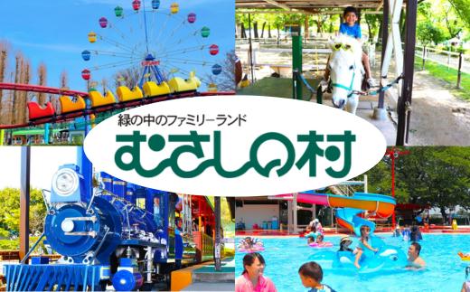 
                  むさしの村遊園地 入園券/フリーパス/のりもの券
                