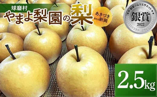 FKP9-715 【先行予約】やまよ梨園の梨2.5kg (あきづき・新興 いずれか)