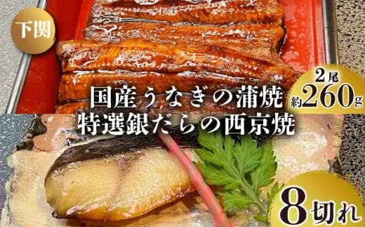 国産 うなぎ の 蒲焼 2尾 約260g 特選 銀だら の 西京焼  8切れ セット 冷凍 関西風 鰻 魚 高級魚 ウナギ 九州産 蒲焼き かばやき うな重 ひつまぶし タレ 山椒 銀鱈 銀ダラ ギンダラ ぎんだら 焼き魚 焼魚 個別包装 浪花寿司 老舗 職人 おかず 夕飯 御祝 下関 山口