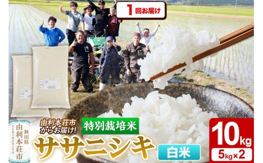 【白米】特別栽培米 ササニシキ 10kg（5kg×2袋）令和7年産 [ササニシキ 米 お米 白米 精米 特別栽培米 ブランド米 食卓 秋田県産 秋田県 由利本荘市]