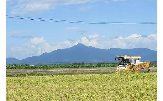令和5年産 お米マイスターが育てた上越産コシヒカリ6kg(2kg×3) 無洗米 精米 こしひかり 米 新潟県産 産直