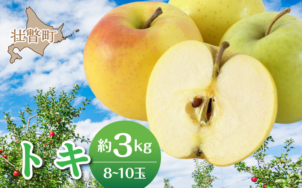 【先行予約】＜2026年10月中旬よりお届け＞北海道壮瞥町　りんご　品種名「トキ」8～10玉約3kg SBTF016
