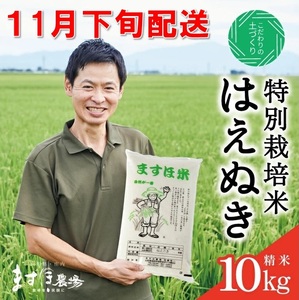 SB1008　11月下旬配送／令和8年産【精米】　特別栽培米『はえぬき』 10kg(5kg×2袋)［減農薬・減化学肥料］ MA
