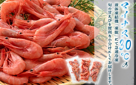 旬子持ち甘えび 小分け 約500g【12尾前後 × 3袋】中サイズ 鮮度格別 獲れたてを液体凍結 えび エビ 海老 甘エビ 甘えび 甘海老 人気 海鮮 お刺身 魚介 海鮮丼 生食 お造り 無添加 冷凍