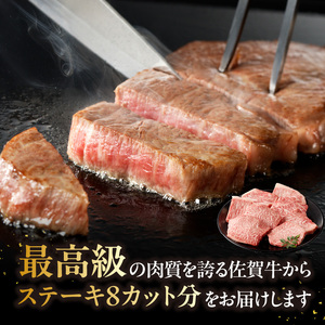 【最速配送】佐賀牛ステーキ 800g ／ ステーキ【C026】