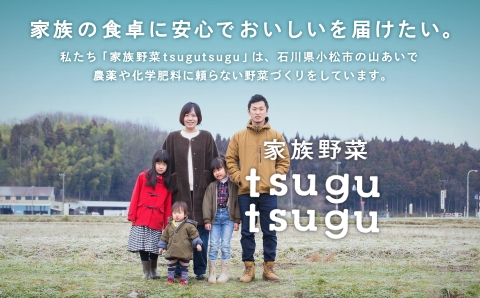 【農薬・化学肥料不使用】ねっとり甘－い おいもさん（紅はるか） 2.5kg