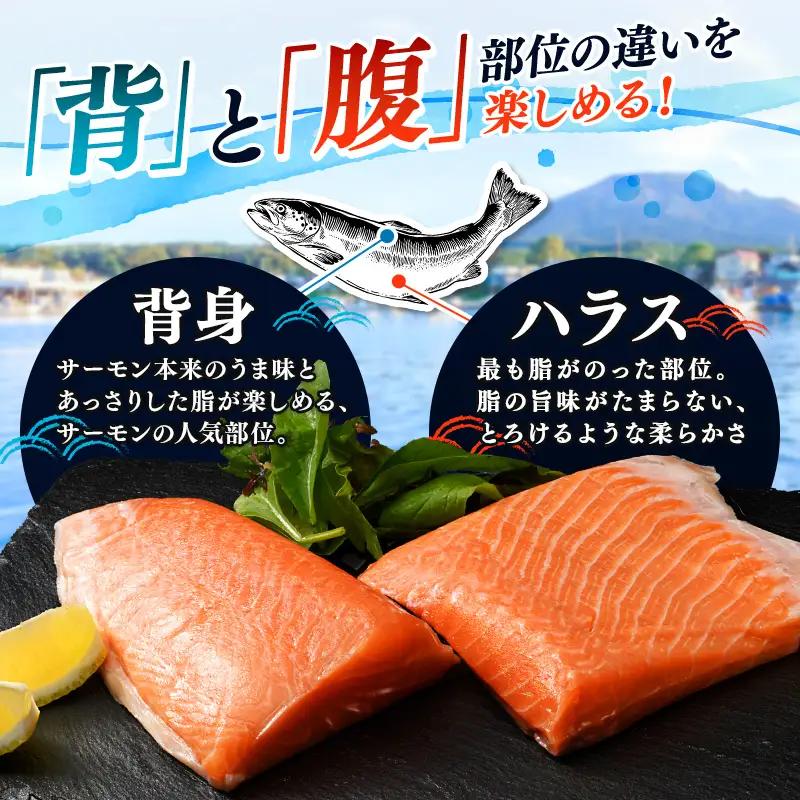 【極上の脂のり】アトランティックサーモン 背身&ハラス食べ比べセット 約1kg (500g×2) ＜道産ネットミツハシ＞ 鮭 サーモン 北海道 森町 ふるさと納税 mr1-1418