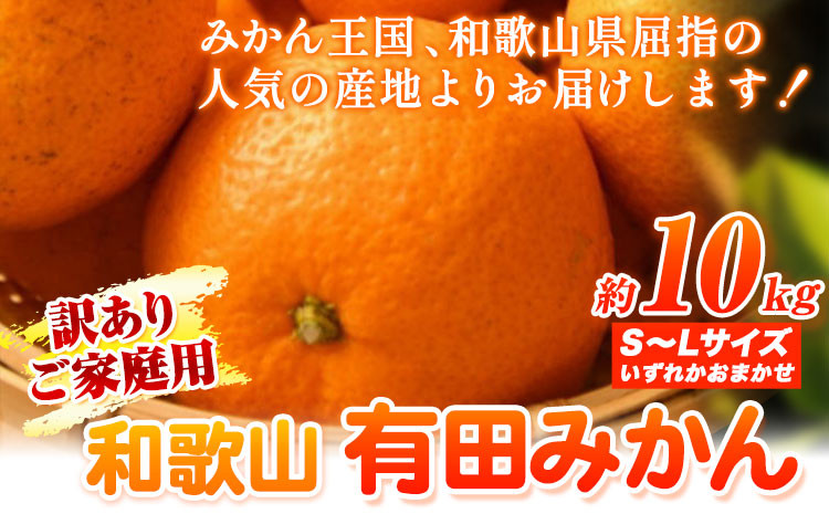 
【訳あり】和歌山有田みかん 約10kg(S～Lサイズいずれかお届け） 厳選館 《2024年11月中旬-2月上旬頃出荷予定》 和歌山県 日高町 みかん 有田みかん 柑橘 フルーツ
