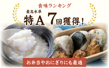 【令和7年産】減農薬・化学肥料不使用  いちほまれ 5kg×1袋 特別栽培米 福井 ブランド米  5キロ 令和7年 
