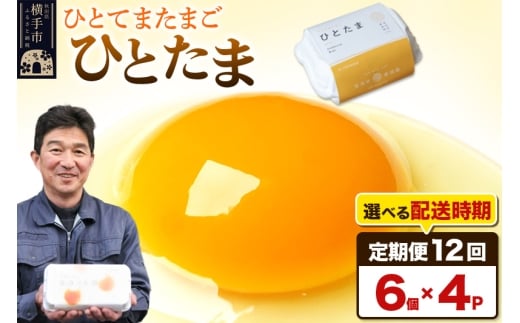 《定期便12ヶ月》ひとたま 6個×4P【発送時期が選べる】