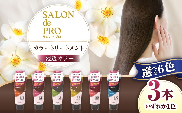 
                  【選べるカラー】 ダリヤ サロンドプロ カラートリートメント 3個セット＜ナチュラルブラウン/ダークブラウン/アッシュブラウン/ベージュブラウン/ローズブラウン/ナチュラルブラック＞ / 稲沢市 / 日興商事株式会社 [BMBK003]
                