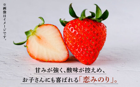 【先行予約】 高級いちご恋みのり約800g(200g×4)有機栽培いちご苺イチゴZBB006