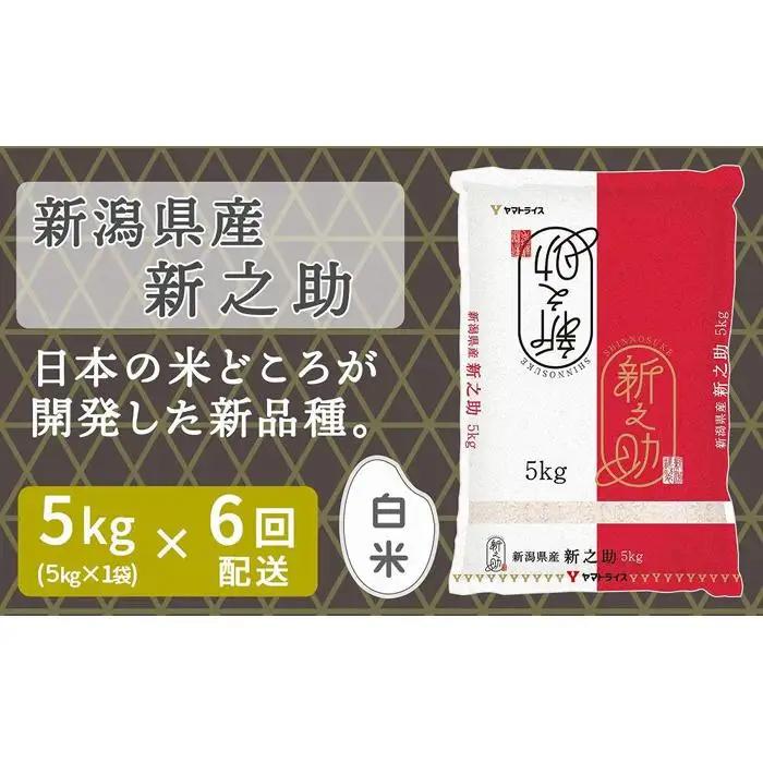 【定期便全6回】新潟県産新之助5kg（受注の翌月から毎月配送）