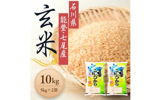 【発送時期が選べる】石川県能登産こしひかり玄米10kg（5kg×2個） / 米 玄米 10kg 日本初！世界農業遺産認定「能登の里山里海」の恵み ｜石川県 七尾市 能登 ※2026年6月～発送