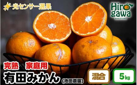 家庭用 完熟 有田みかん 5kg+150g（痛み補償分）【 わけあり・訳あり 】【 光センサー選果 】＜11月中旬～翌年1月下旬ごろに順次発送予定＞ ※北海道・沖縄・離島への配送不可 / 和歌山 蜜柑 ミカン フルーツ 果物 旬 柑橘 秋【ikd004-kan-c-5】