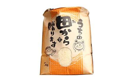 定期便 漢方栽培 十四代目のササニシキ 5kg×12回 米 お米 おこめ 山形県 新庄市 F3S-2176