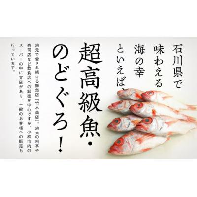 ふるさと納税 小松市 のどぐろ一夜干し詰め合わせセット 5尾(各120g) 干物のどぐろ 高級魚 |  | 01