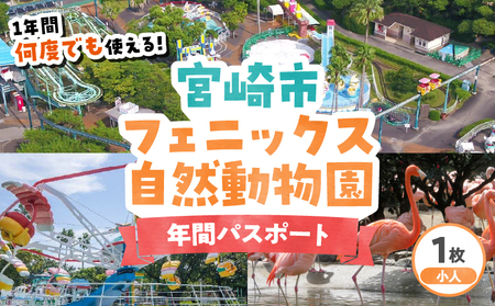 宮崎市フェニックス自然動物園年間パスポート（小人）  動物 動物園 イベント チケット 引換券 入園券 レストラン お土産 グルメ 宮崎市フェニックス自然動物園 小学生 中学生
