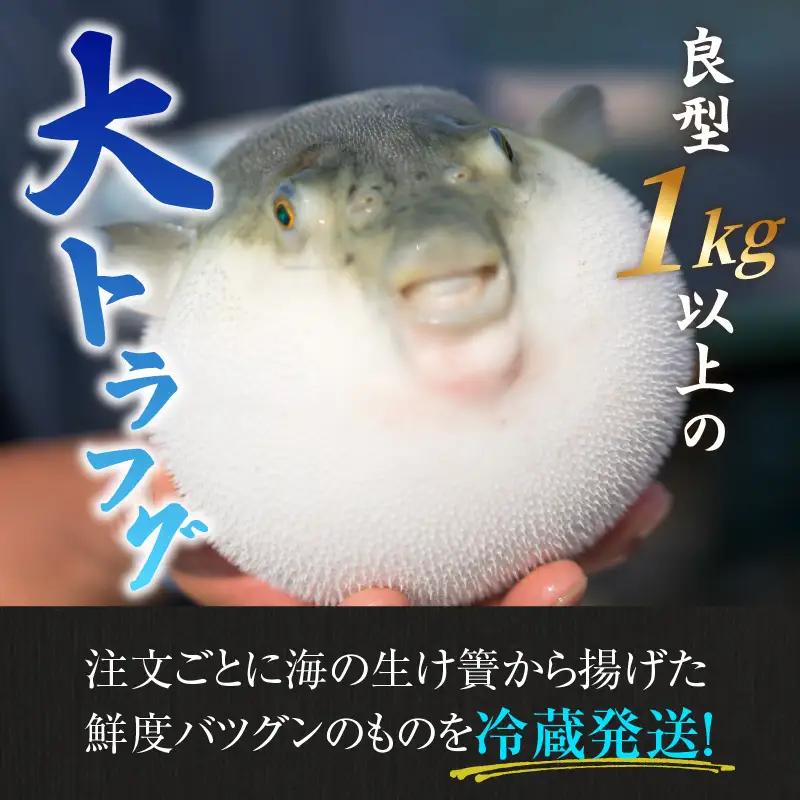 【先行予約】【国産とらふぐ】ふぐ刺身鍋セット 5-6人前 北陸 福井 家庭用