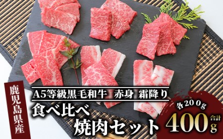 A5等級鹿児島県産黒毛和牛 食べ比べ焼肉セット カミチク IB112-008 牛肉 牛肉 
